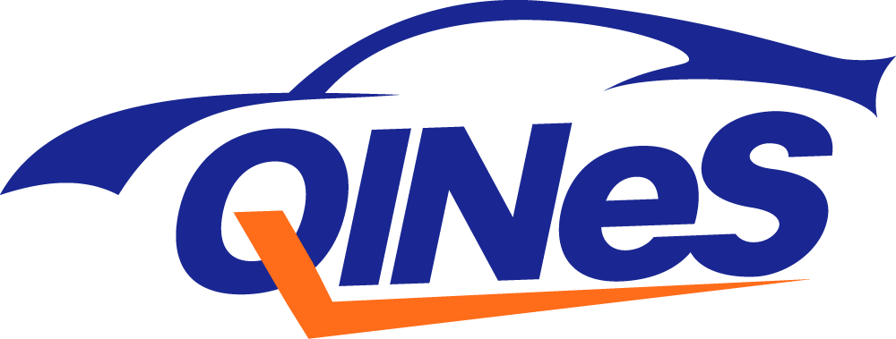 The QINeS logo